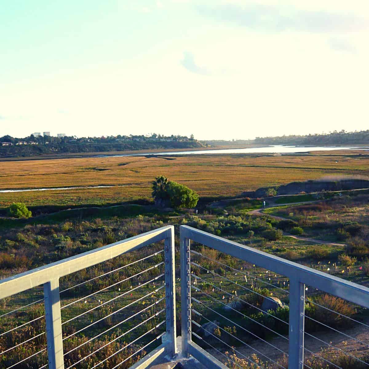 Free Nature Program โ Wild Tales at Upper Newport Bay